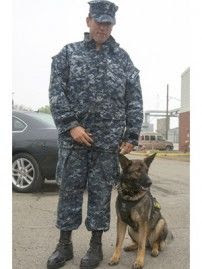 dog_as_big_SS_202x269.jpg