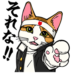 最も人気のある 猫 画像 待ち受け 猫 画像 可愛い 待ち受け