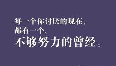 綺麗な壁紙 努力 名言 英語 最高の花の画像