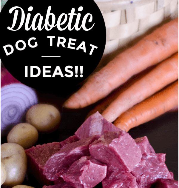 Diabetic Dog Food Recipes Homemade : The Best Food For Diabetic Dogs Review In 2020 Pet Side ...