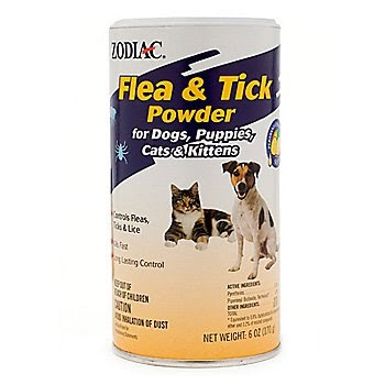 35 Top Pictures Diatomaceous Earth For Cats Fleas : Diatomaceous Earth for Fleas on Cats: Everything to Know ...