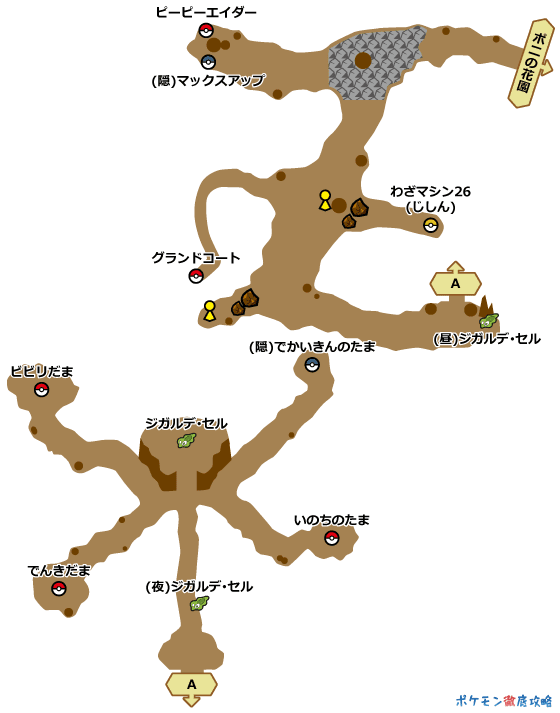 ポケモン サンムーン ジガルデセル