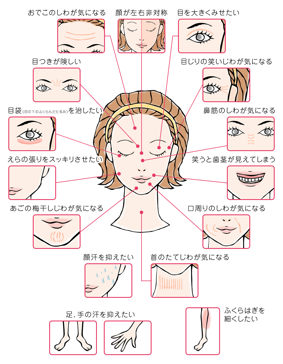 顔 部位 顔 の 名前
