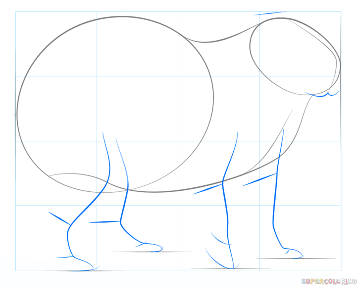 Capybara Easy To Draw