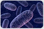 Targeting pathway controlling mitochondria may reduce cancer invasiveness