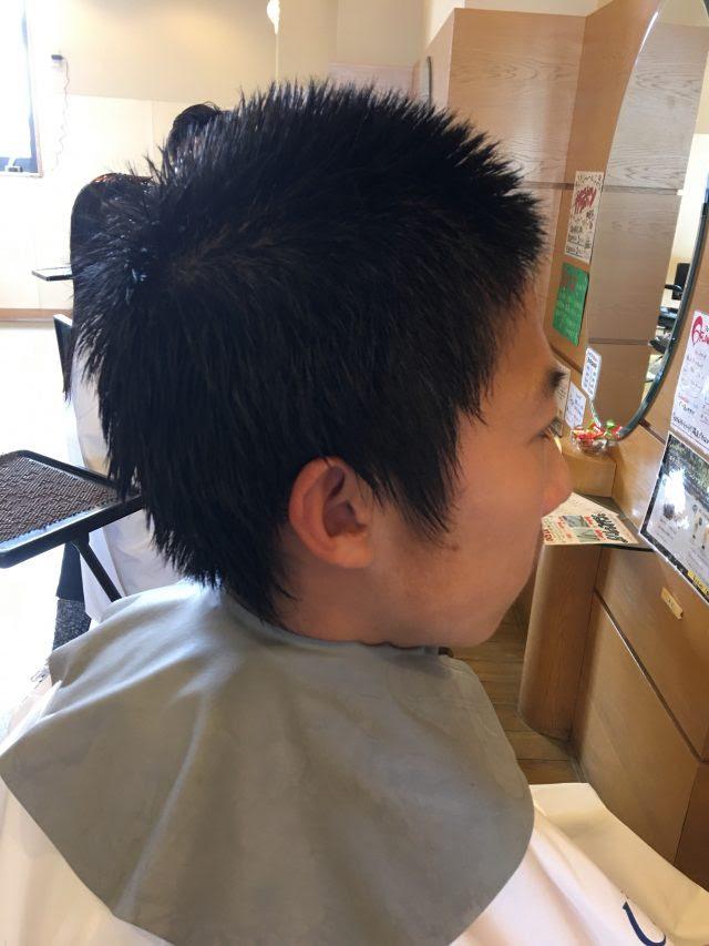 無料ダウンロード 坊主 伸び た 髪型 ヘアスタイルギャラリー