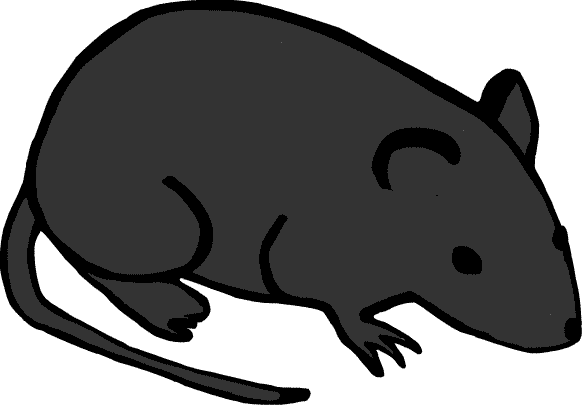 動物の画像について 最新のhdネズミ マウス イラスト フリー
