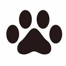 50 犬 足跡 イラスト 写真素材 フォトライブラリー