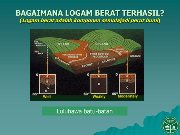 Kesan Ubat Darah Tinggi Pada Lelaki - Berubat j