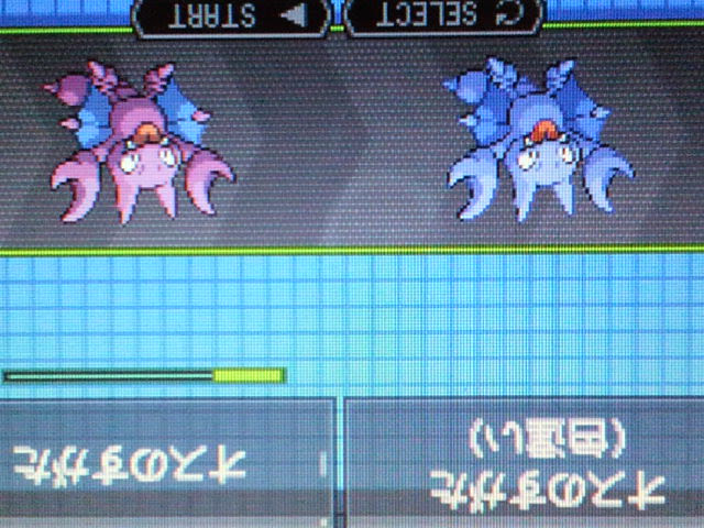 インスピレーション ポケモン プラチナ グライガー 100 で最高の画像