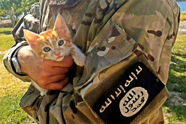 Risultati immagini per ISIS VS CAT MOSUL