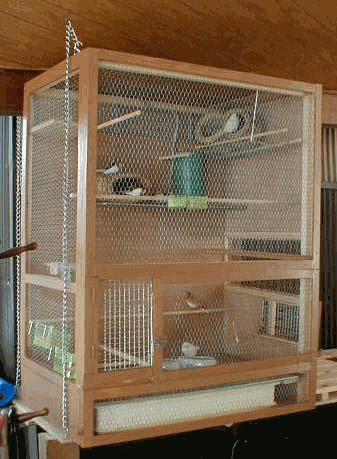 70以上 鳥かご 作り方 木 2623 鳥かご 作り方 木