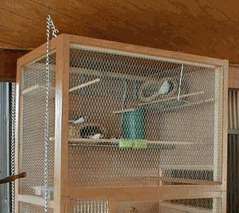 √ダウンロード 鳥かご 作り方 618284-鳥籠 作り方