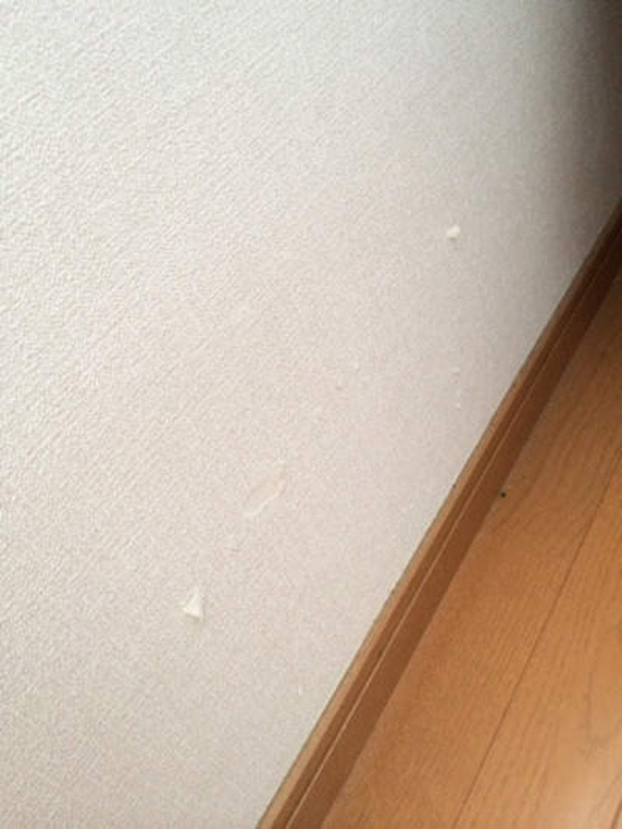 アパート壁紙張替え費用
