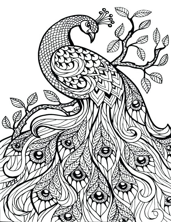 Where do you want to direct the viewer's attention? Black And White Coloring Pages For Adults At Getdrawings Free Download