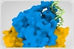 Regulatory Mechanisms Involved in Gene Expression