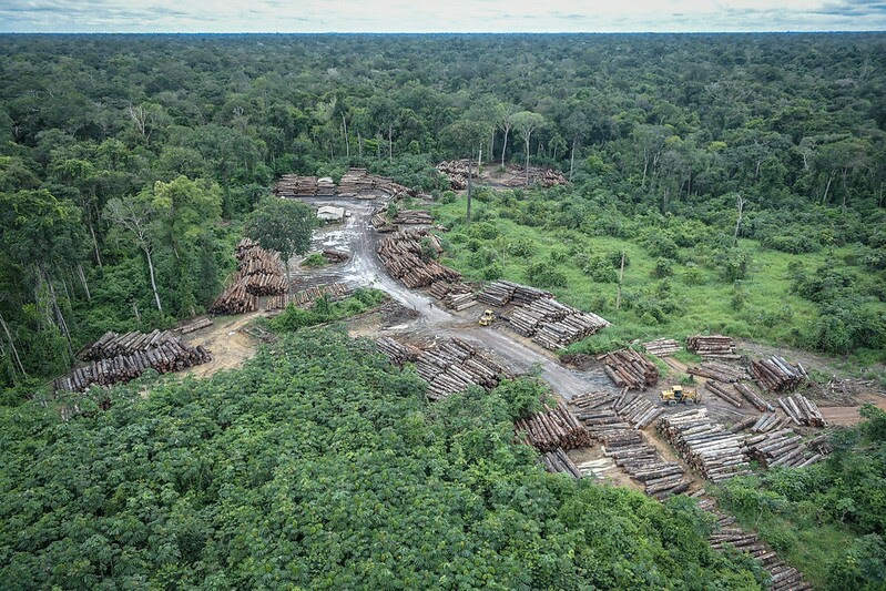 Imagem aérea de área desmatada na Amazônia, mostra "buraco" no meio da floresta com toras de madeira no chão