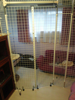 猫 部屋 仕切り 無料ダウンロード画像