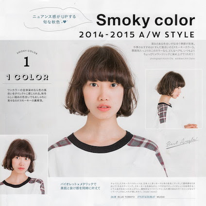 ほとんどのダウンロード ファッジ ヘアカタログ ヘアスタイルのアイデア Ideaskamigata