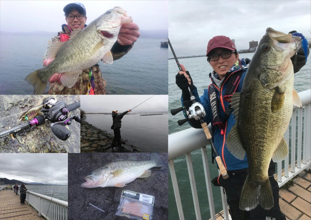50 琵琶湖 バス 釣り スポット すべての魚の画像