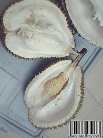 ! TakMungkinBenar !: Pelik, Durian Dalam Durian