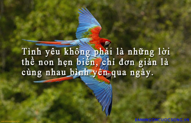 Tổng hợp những câu nói hay nhất về tình yêu đôi lứa