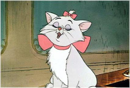 Nom De Chat Male Blanc Get Images