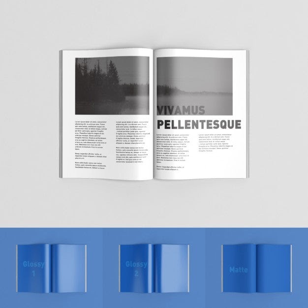 Download 8.676+ Zine Mockup - freedmockup