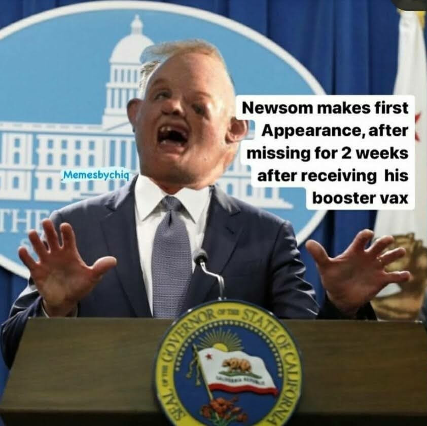 Meme one ridiculing Gavin Newsom
