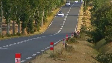 VIDEO. Vendée : pour faire passer un convoi exceptionnel, trente tilleuls sont rasés 