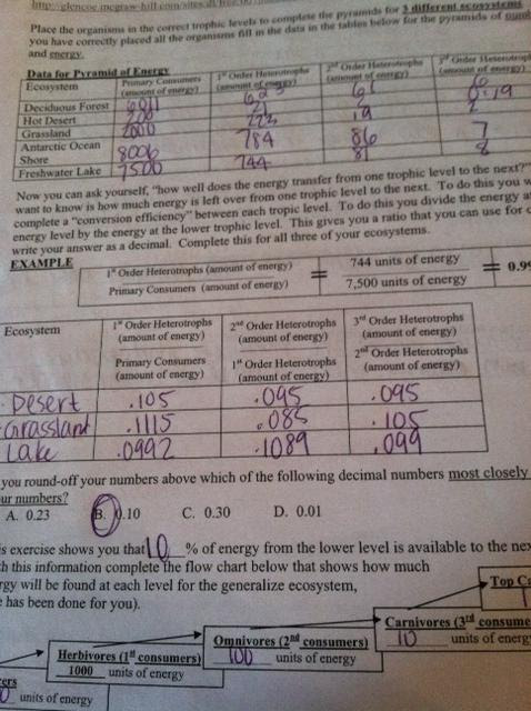 32 Virtual Lab Population Biology Worksheet Answers - Free ...
