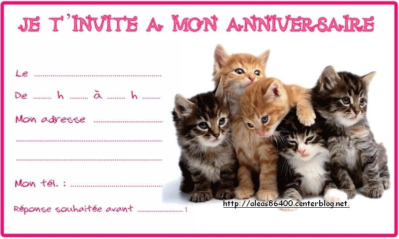 Carte Anniversaire Humour Animaux Gallery