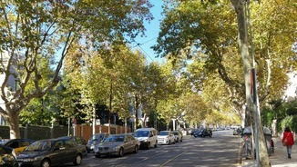 Foto d'arxiu de l'avinguda tibidabo 