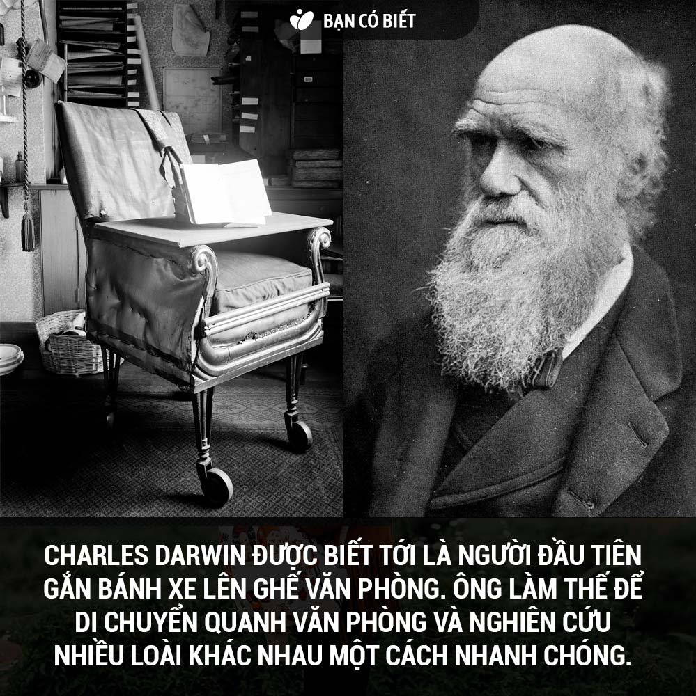 Đang tải fact2_darwin.jpg…