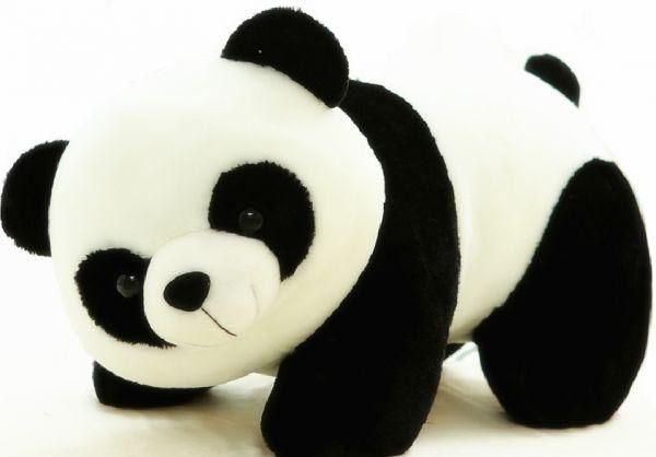 Gambar Panda  Kartun Imut  Dan  Lucu  Gambar Kartun Keren