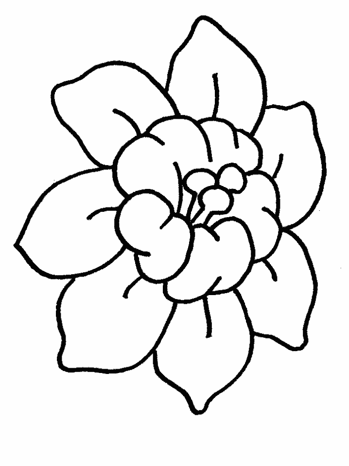 You'll find a huge range of pretty flower designs on this page, from simple outlines to more detailed and intricate drawings, plus beautiful flower letter and number coloring pages too! Free Color Book Flowers Download Free Color Book Flowers Png Images Free Cliparts On Clipart Library