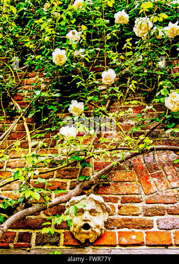 Building Shed Against Brick Wall   