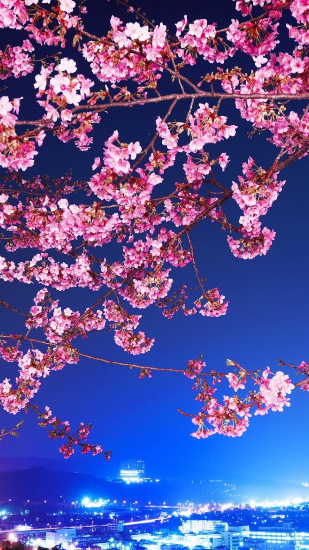 12+ Download Wallpaper Bunga Sakura Hd - Joen Wallpaper