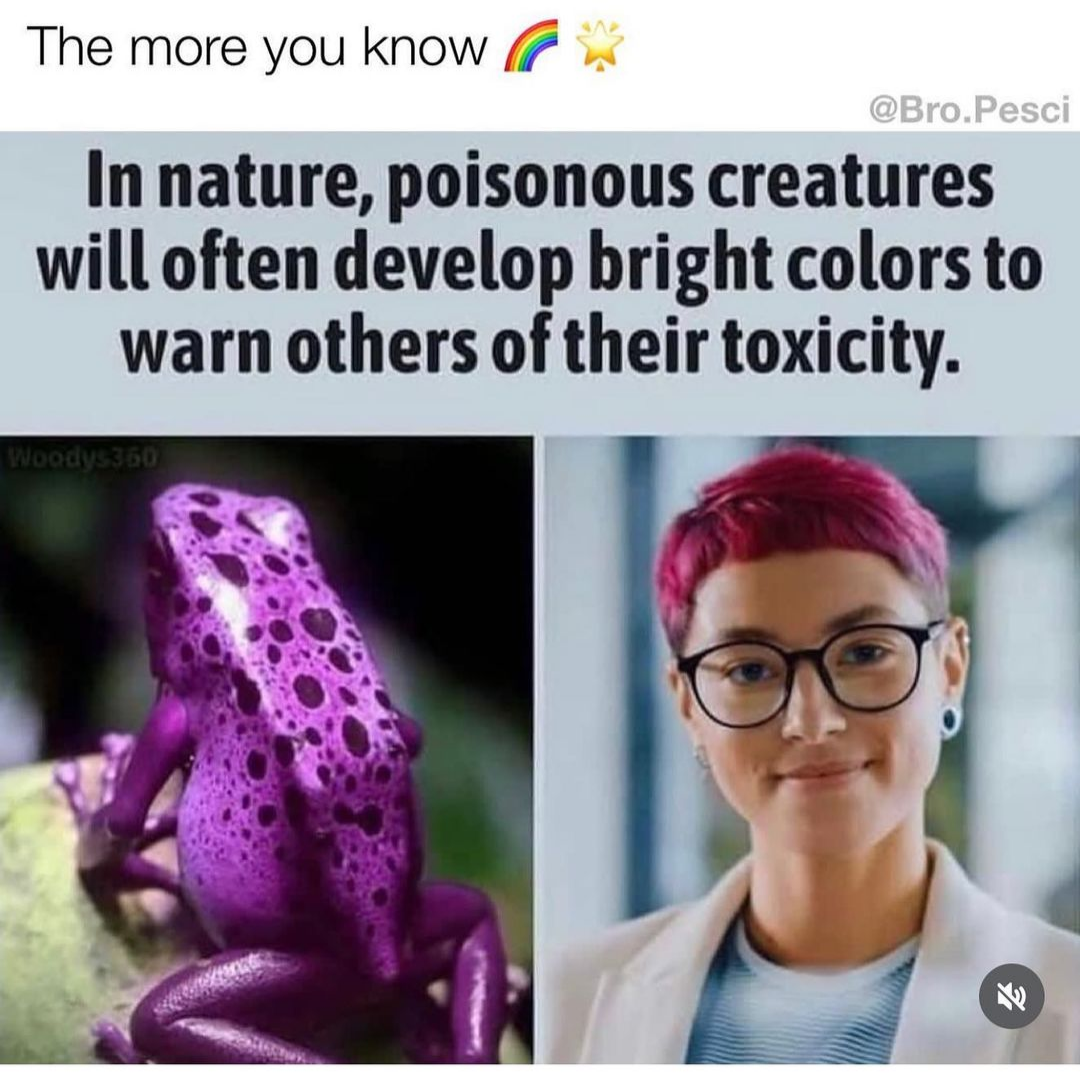 Meme that says poisonous creatures develop bright colors. Shows toxic frog next to girl with purple hair.