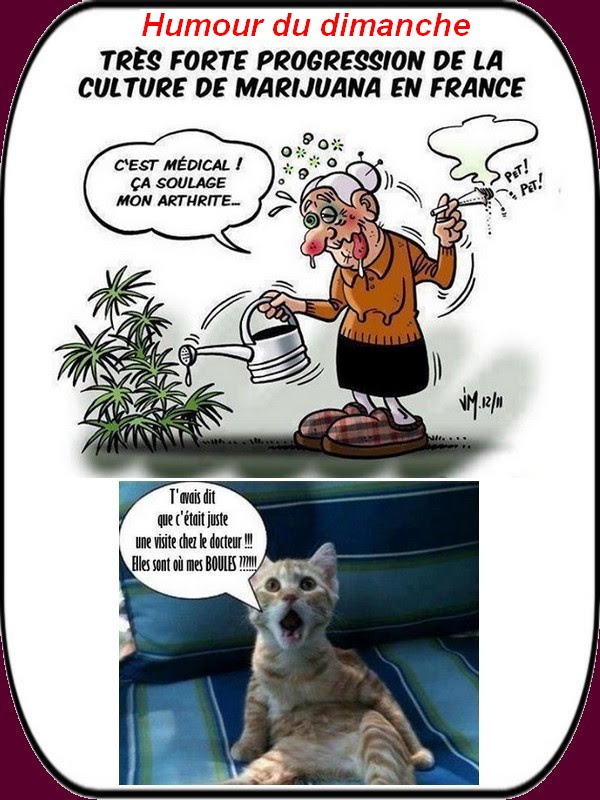 Les meilleurs images gratuites de fête des mères pour facebook. C Est Un Humour Decadent En Cette Fete Des Meres Les Infos Du Vieux Coq
