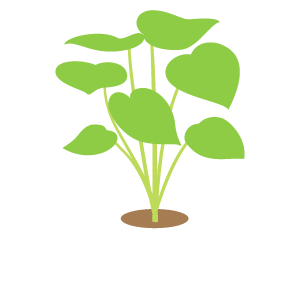 美しい花の画像 綺麗な植物 イラスト 無料