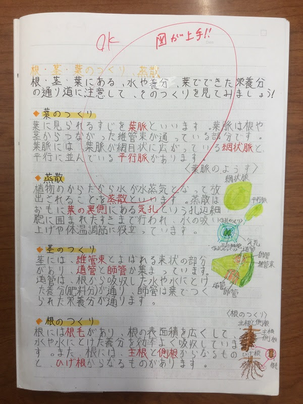 ぜいたく中 2 中学生 自学 ノート 最高のぬりえ