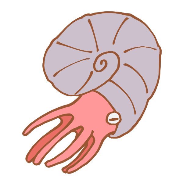 かわいい動物画像 トップ100 オウムガイ イラスト かわいい