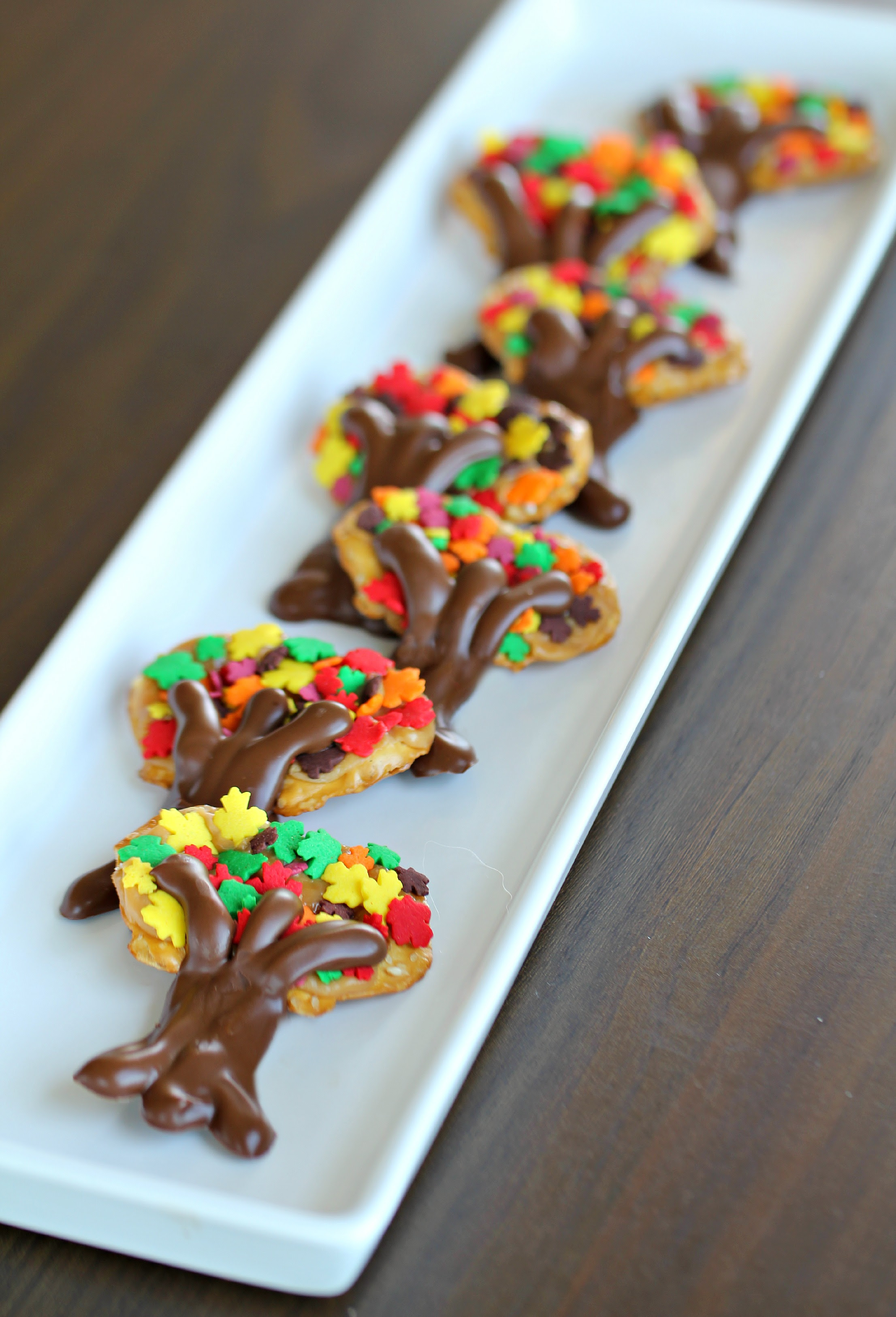 Either place on a small cookie sheet or use a muffin tin to support the cupcake liner until frozen. Cute Thanksgiving Treats