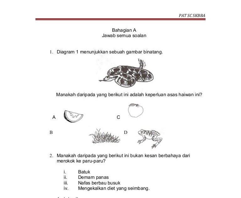 Contoh Soalan Matematik Bab 2 Tingkatan 4 - Amber Ar