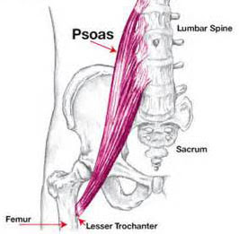 This curve, called lordosis, helps to: Shiatsu Self Massage For Lower Back Pain Shiatsu Toronto