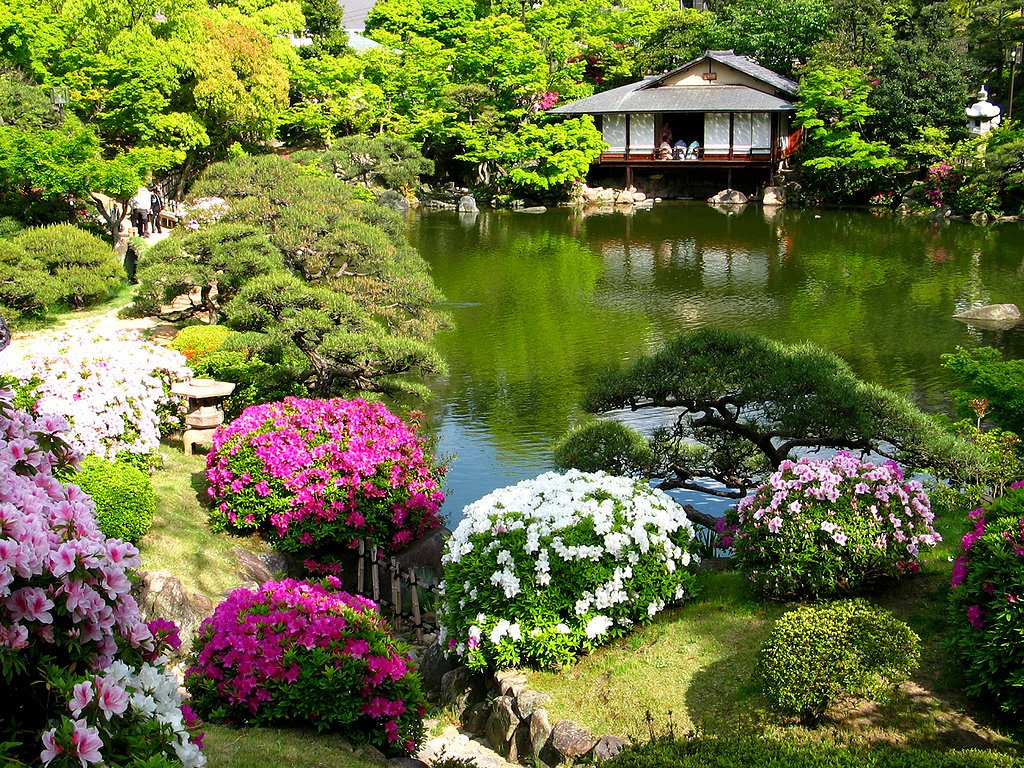 50 壁紙 日本庭園 美しい花の画像