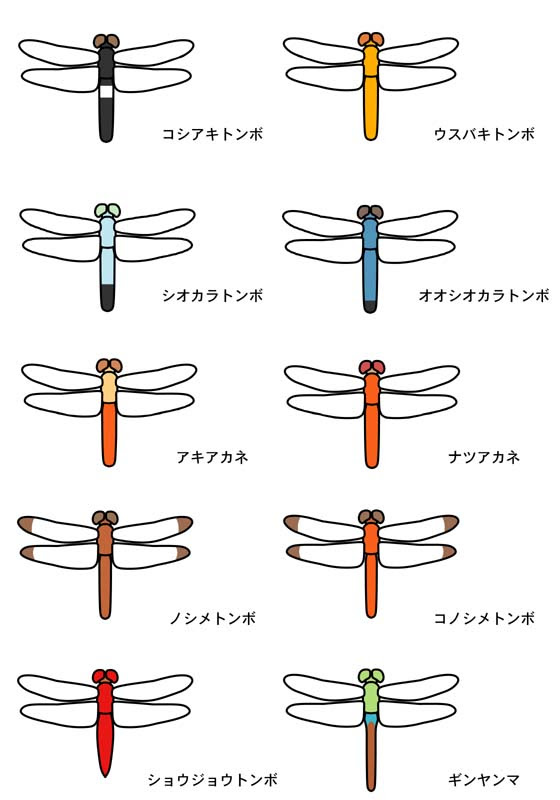 最新 トンボ イラスト 簡単 興味深い画像の多様性