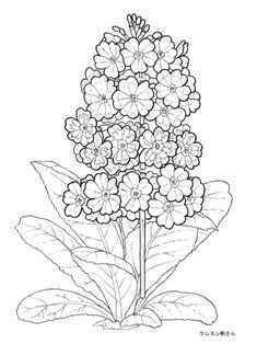 Warnapo06 7月 花 イラスト 塗り絵