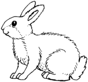 Gestalte doch die einzelnen bestandeile (zum beispiel das osterei) mit unterschiedlichen materialien, um den hasen besonders bunt und fröhlich zu machen. Ausmalbilder Osterhase Malvorlagen Kostenlos Zum Ausdrucken